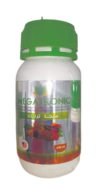 Mega Tronic ميجا ترونيك