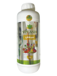 Splash سبلاش