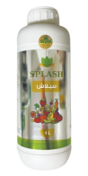 Splash سبلاش