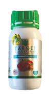 Target تارجت