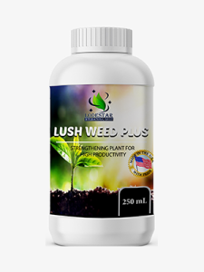 Lush Weed Plus لاش ويد بلس